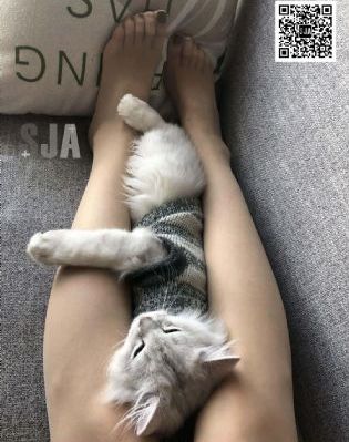 97色伦在色在线播放三级_蓝光免费在线播放